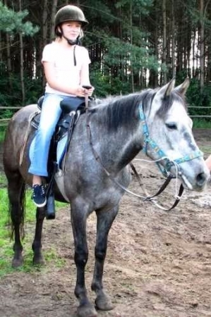 fot21_20071004_1032201613