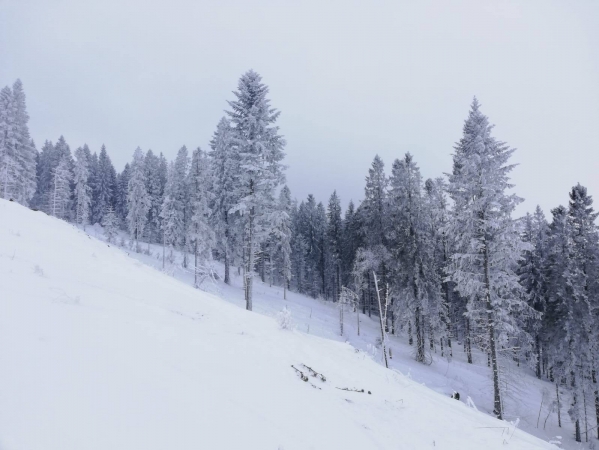 murzasichle19_2tur_42