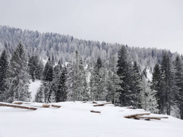 murzasichle19_2tur_5