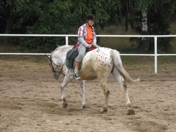 garczyn_081_20080812_1563968626