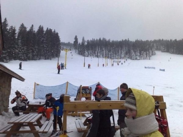 zieleniec0714_20081016_1997574027