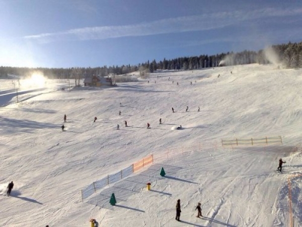 zieleniec071_20081016_1908504184