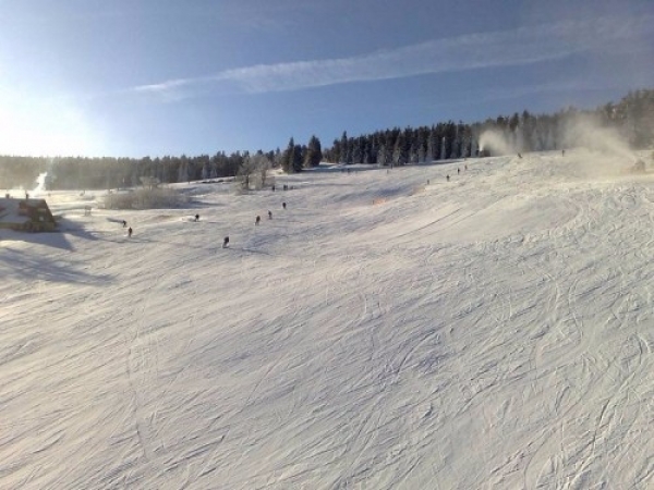 zieleniec073_20081016_1233656876