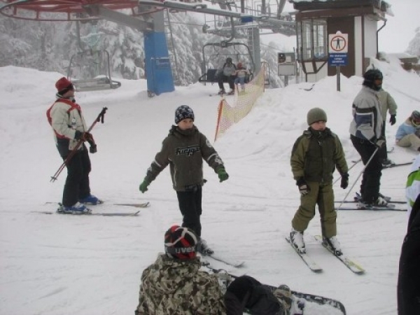 zieleniec0913_20090304_1259203222