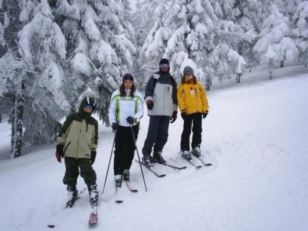 zieleniec0914_20090304_1822838002