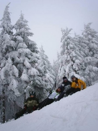 zieleniec0915_20090304_1094752676