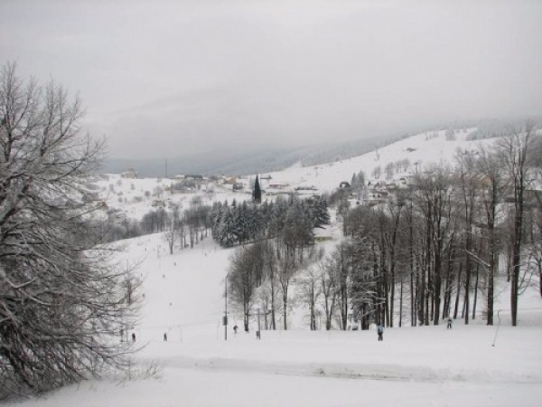 zieleniec0915_20090304_1772420772