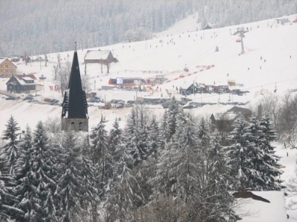 zieleniec091_20090304_1203298897