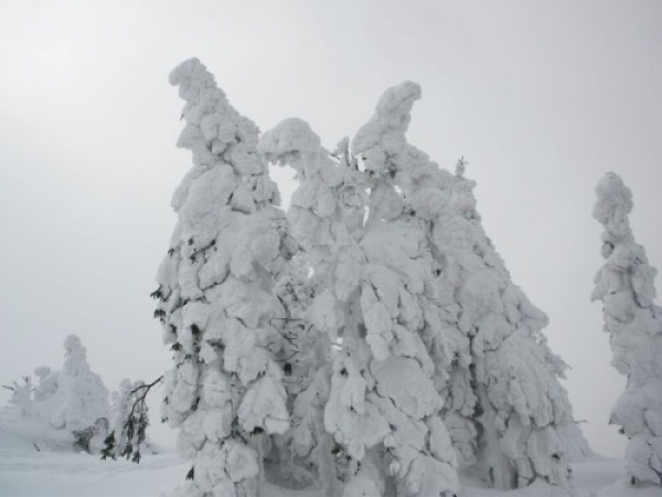 ostatani_snieg14_20090401_1389983799