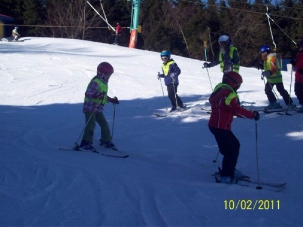 zieleniec_11_217_20110219_1148041160