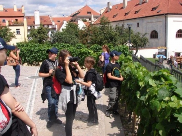 gory_1117_20110805_1990444870