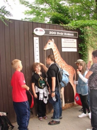 gory_1131_20110805_1232220796