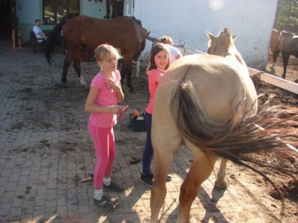 garczyn_1153_20110913_1553881158