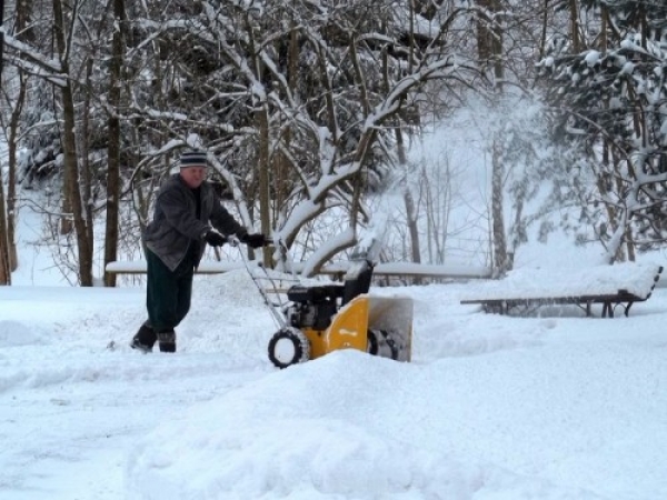 zieleniec_2012_i_trunus22_20120307_1297346943