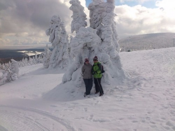 zieleniec_2012_i_trunus23_20120307_1987358538