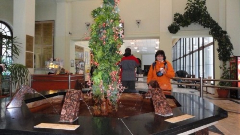 zieleniec_2012_i_trunus25_20120307_1790676597