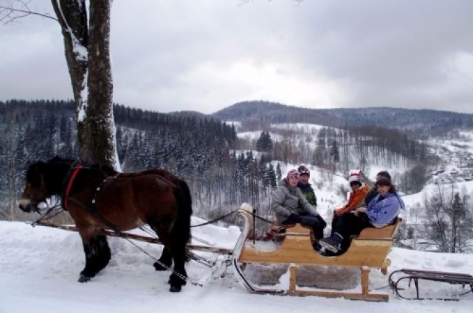 zieleniec_2012_i_trunus27_20120307_1000762447