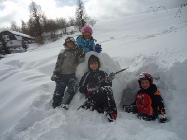 zieleniec_2012_i_turnus2_20120307_1553336871