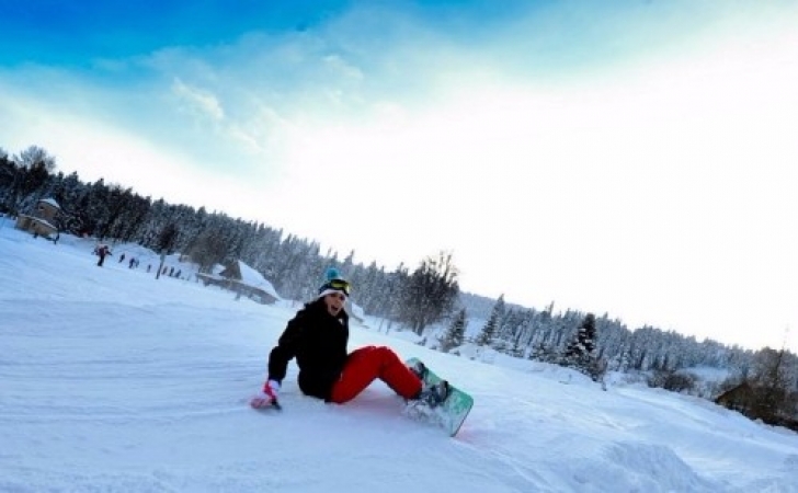 zieleniec_2012_ii_turnus17_20120301_1192805590