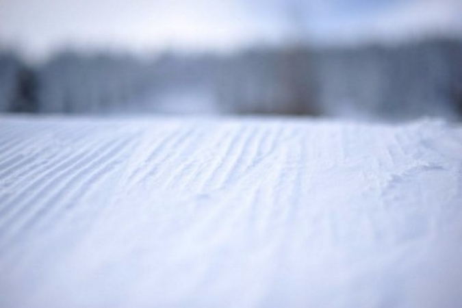 zieleniec_2012_ii_turnus7_20120301_1207986384