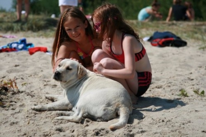 oslonino1325_20130813_2033863667