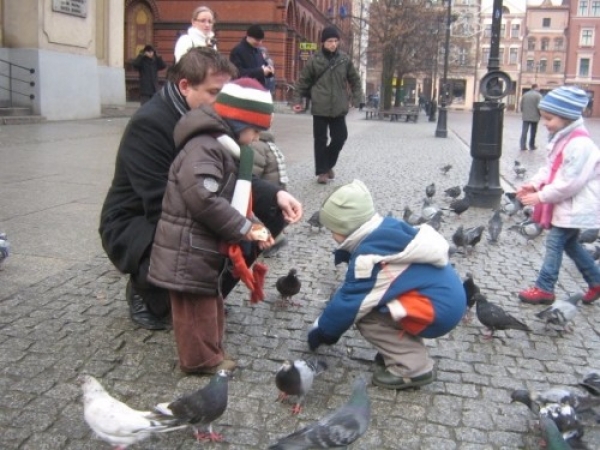 torun_02_12_200713_20071205_2047231425