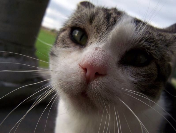 Aleksandra Drozdowska 1