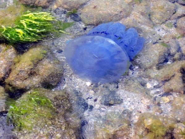 Aleksandra Drozdowska 3