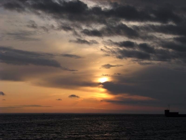 Aneta Jarmużewska 1