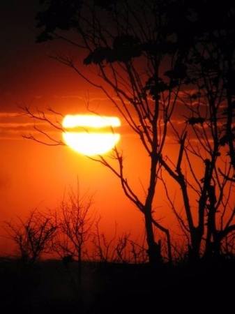 Aneta Jarmużewska 3