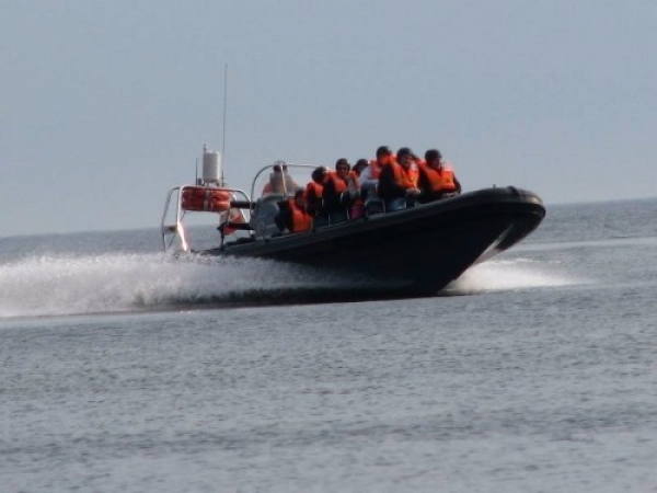 Marcin Jarmuzewski 3